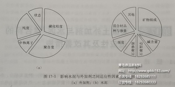 晚上正能量www正能量网Ӽ